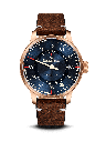 Meistersinger Perigraph Bronze Line